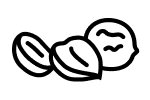 Nuts icon