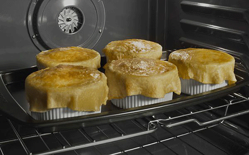 The Difference Between a Convection Oven & Conventional (Normal) Oven
