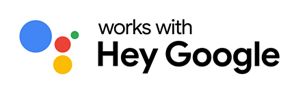 Hey Google Icon