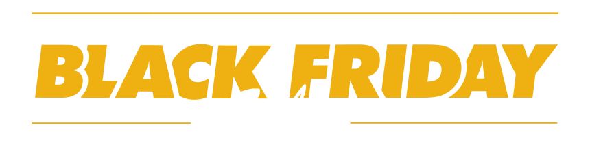 Black Friday Sale
