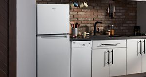 Best buy apartment size fridge online