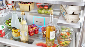 Refrigerator interior with a variety of items
