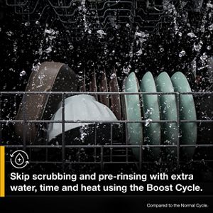 Product Description